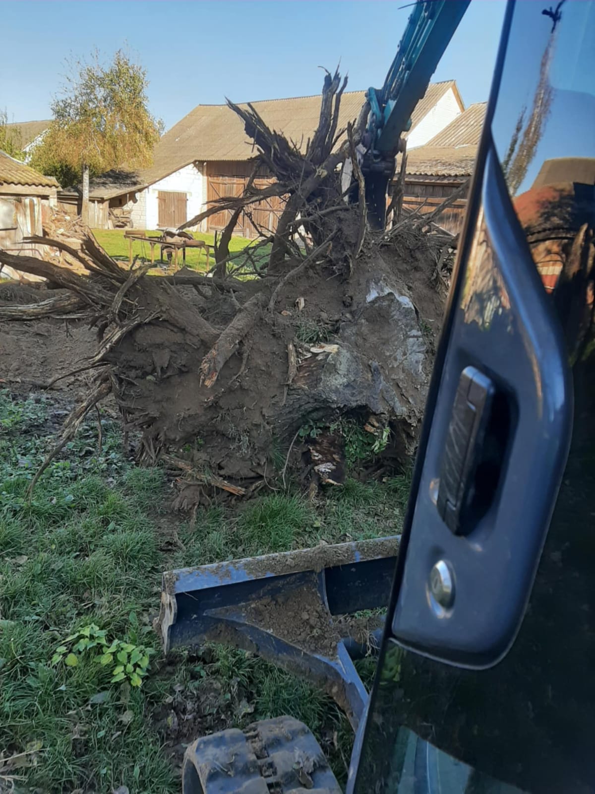 Widok na wywrócone drzewo z korzeniami, obok którego znajduje się kawałek maszyny budowlanej; w tle widać wiejskie zabudowania i jasno niebieskie niebo.