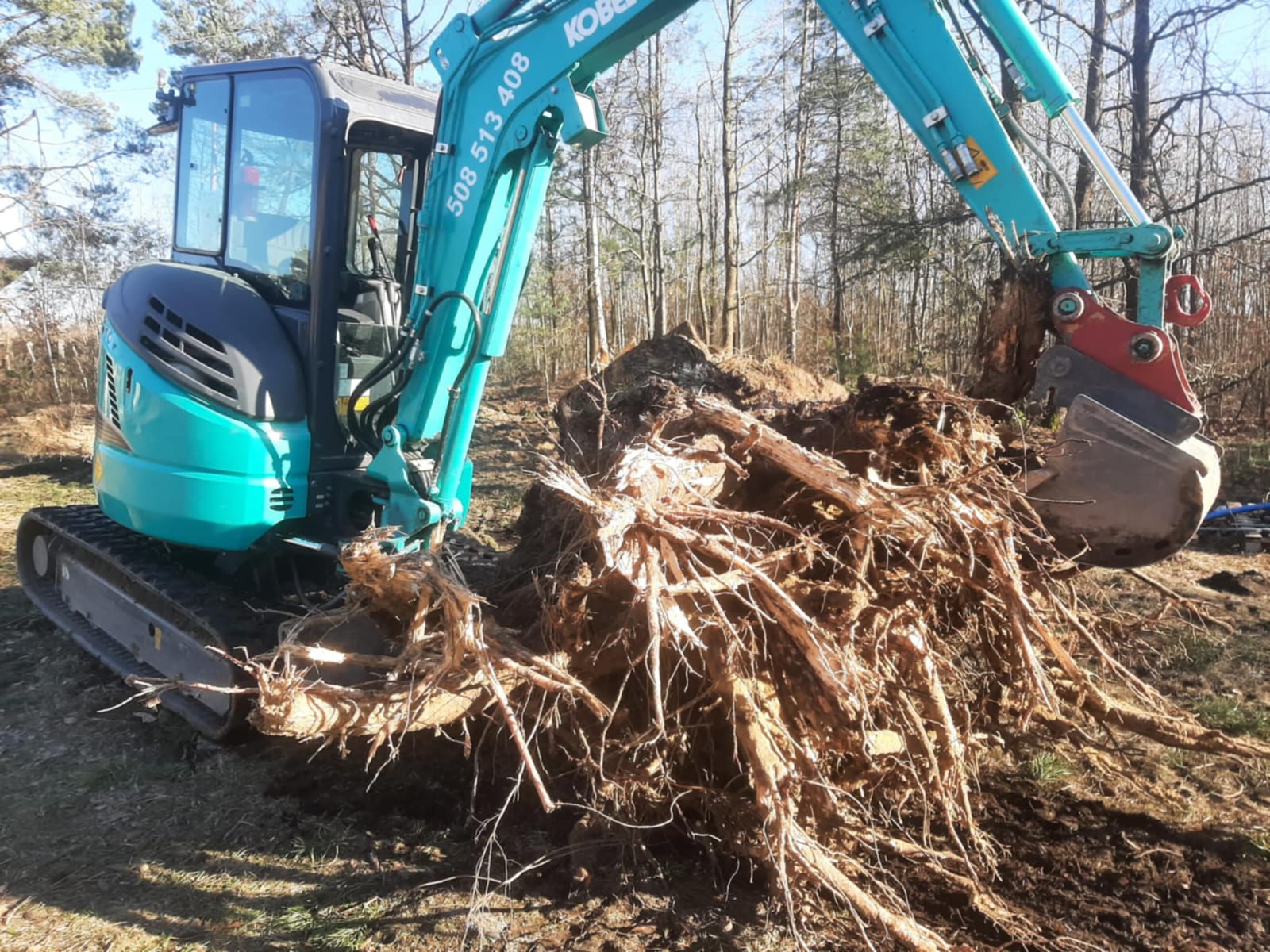 Koparka z zieloną obudową podnosi powalony pień drzewa z widocznymi korzeniami, w tle las z drzewami.